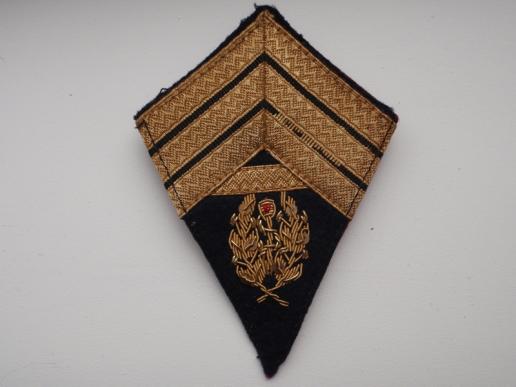 Senior Medical Officer Patch