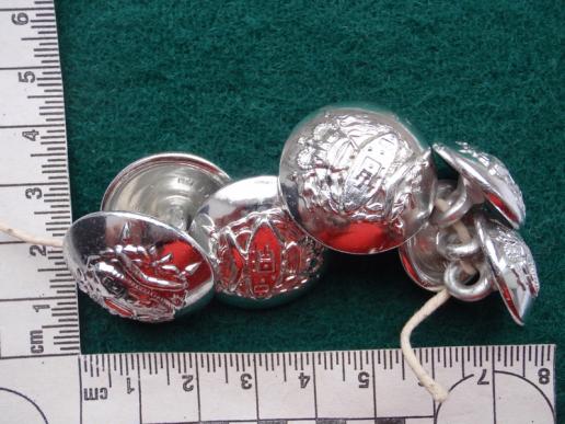 Royal Australian Army Armoured Corps 