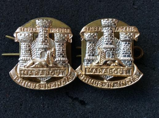 Devon & Dorset Regt anodised collars