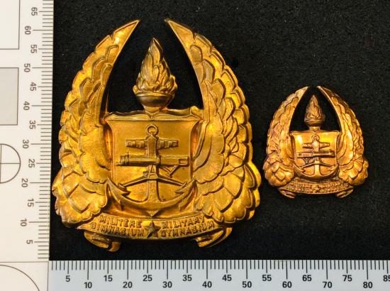 S.A Military Gymnasium Cap/ Helmet Badge And collar
