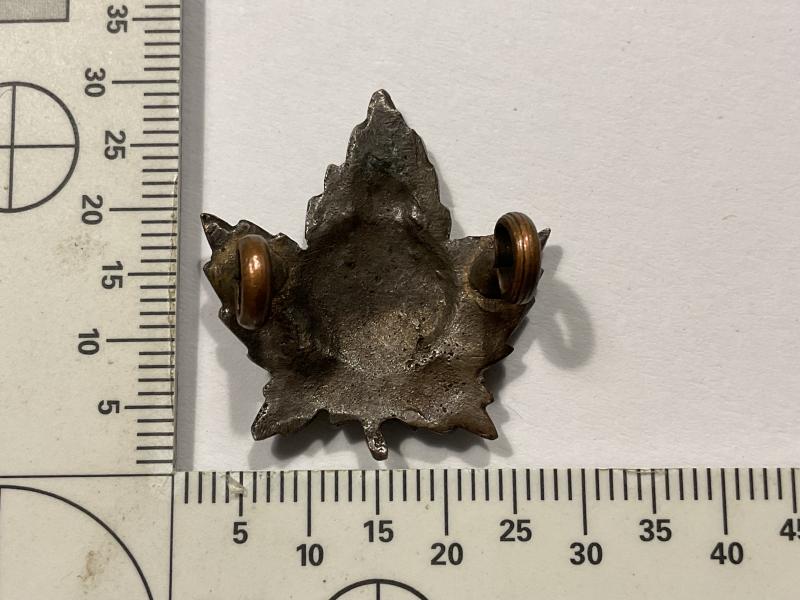 WW1 CEF 36th infantry Battalion collar badge.