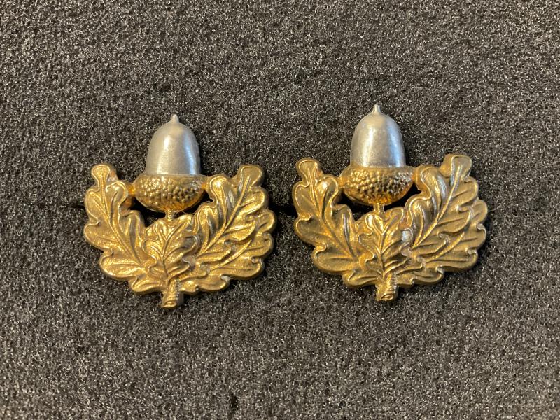 The Cheshire Regiment collar badges.
